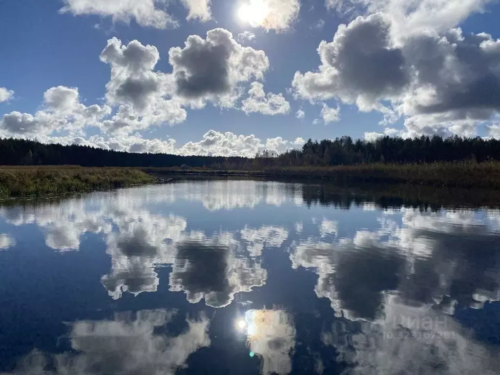 Участок в Псковская область, Гдовский район, Самолвовская волость, д. ... - Фото 2