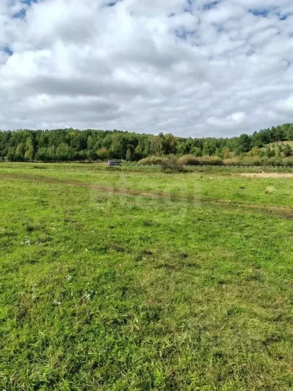 Участок в Красноярский край, Красноярск городской округ, пос. Элита ... - Фото 1