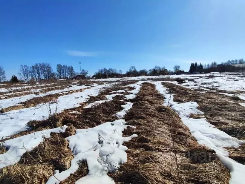 Участок в Московская область, Лотошино муниципальный округ, д. ... - Фото 1