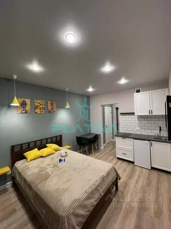 1-к кв. Татарстан, Казань ул. Четаева, 43А (25.0 м) - Фото 1