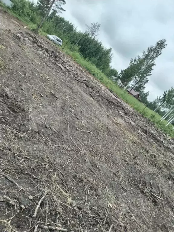 Участок в Тюменская область, Нижнетавдинский муниципальный округ, ... - Фото 1