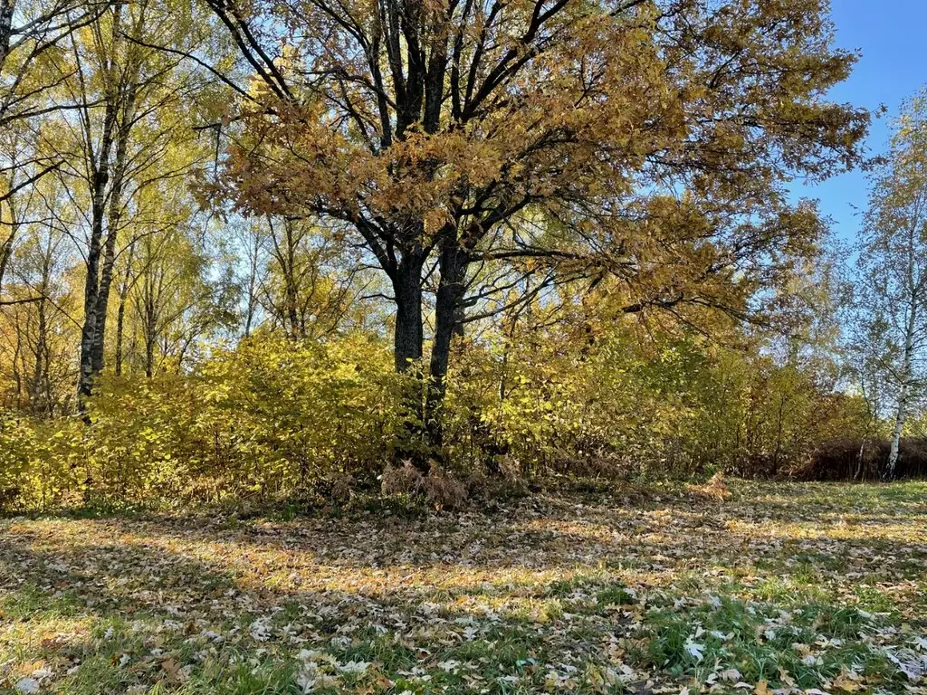 Участок в Московская область, Одинцовский городской округ, д. Маслово, ... - Фото 0