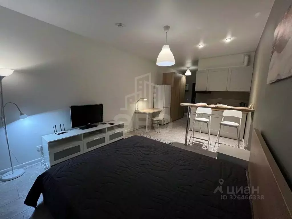 Студия Санкт-Петербург ул. Савушкина, 104 (27.0 м) - Фото 2