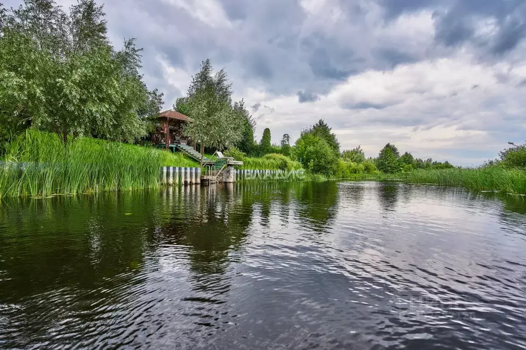 Дом в Воронежская область, с. Новая Усмань  (412 м) - Фото 1