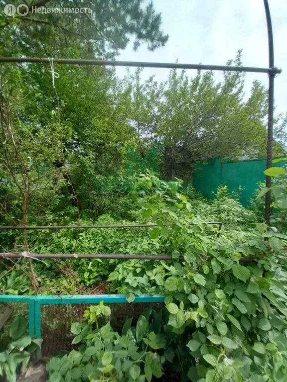 Дом в Орск, микрорайон Старый город, улица Урицкого, 33 (60 м) - Фото 1