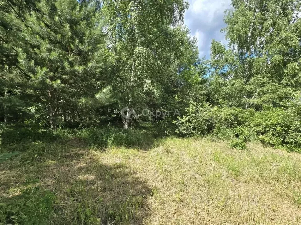 Участок в Московская область, Богородский городской округ, с. ... - Фото 1