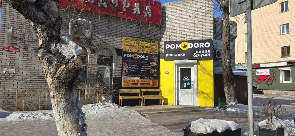 Помещение свободного назначения в Тыва, Кызыл ул. Гагарина, 8 (43 м) - Фото 0