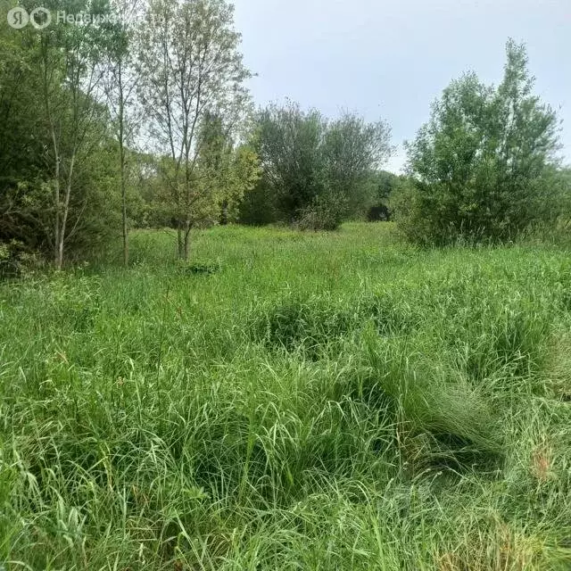 Участок в Ленинградская область, Гатчинский муниципальный округ, ... - Фото 1
