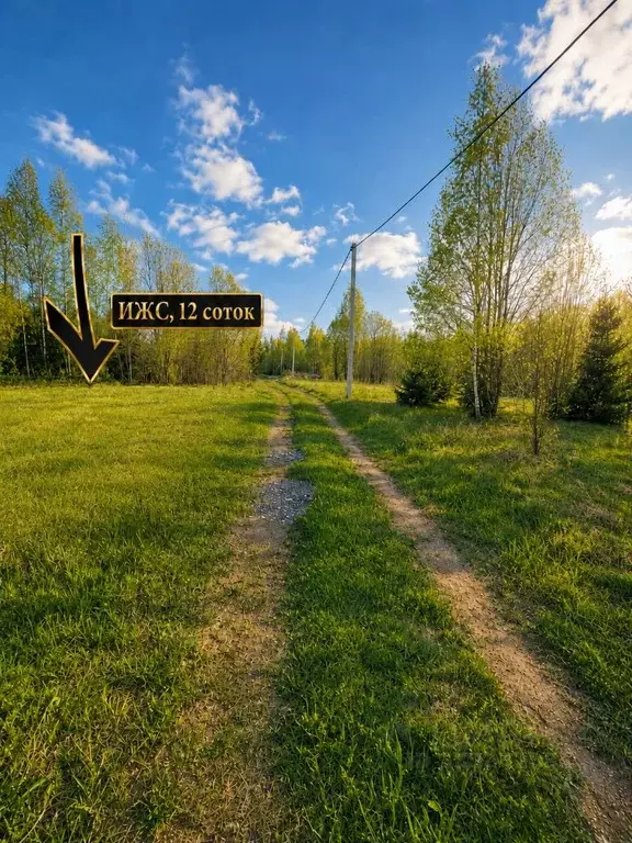 Участок в Ленинградская область, Бокситогорский район, Борское с/пос, ... - Фото 2