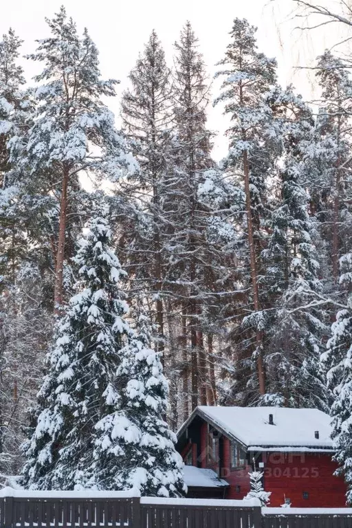 Участок в Московская область, Ступино городской округ, с. Мышенское  ... - Фото 2