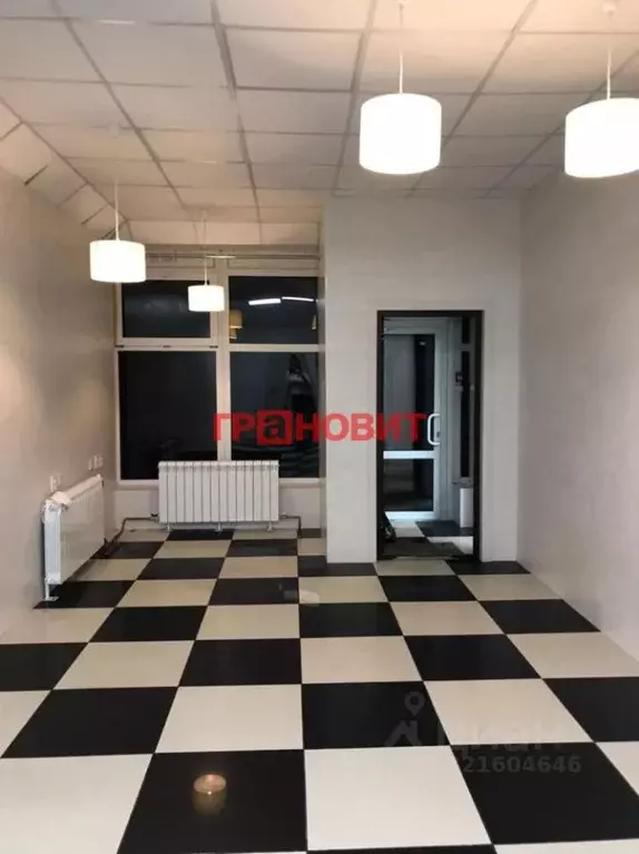 Помещение свободного назначения в Новосибирская область, Новосибирск ... - Фото 0