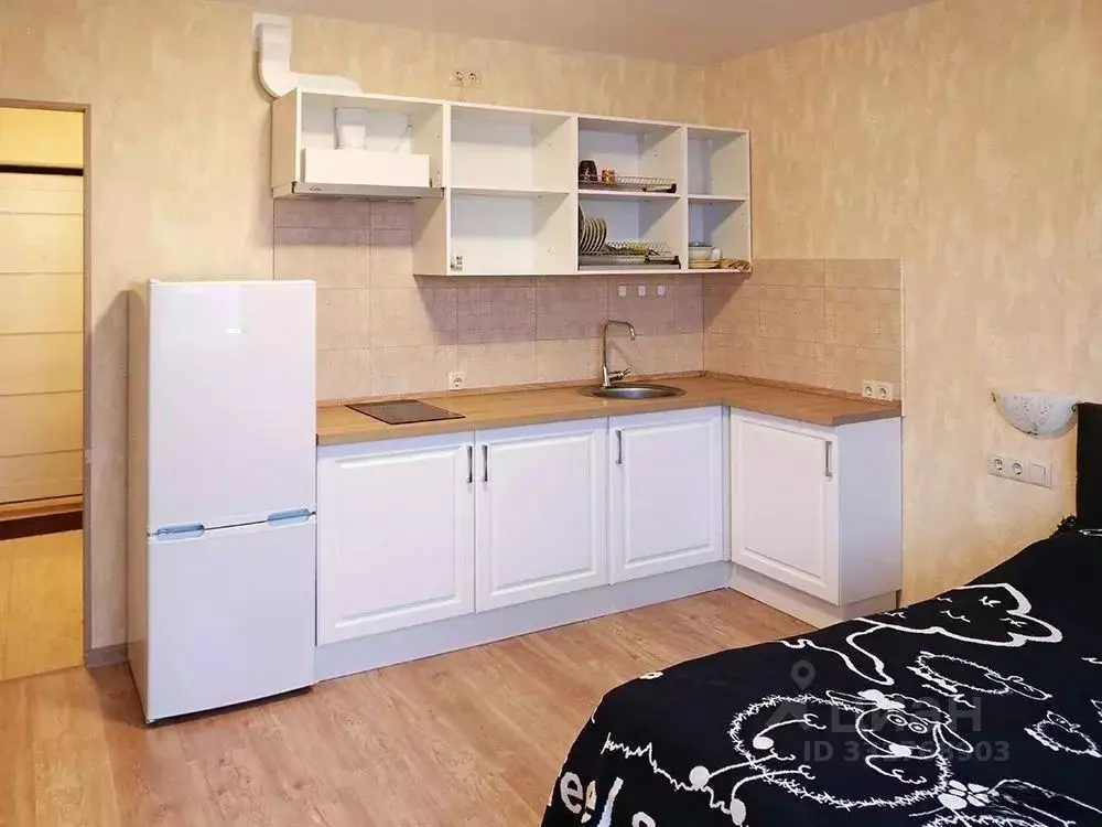 Студия Московская область, Домодедово Южный мкр, ул. Курыжова, 16 ... - Фото 1