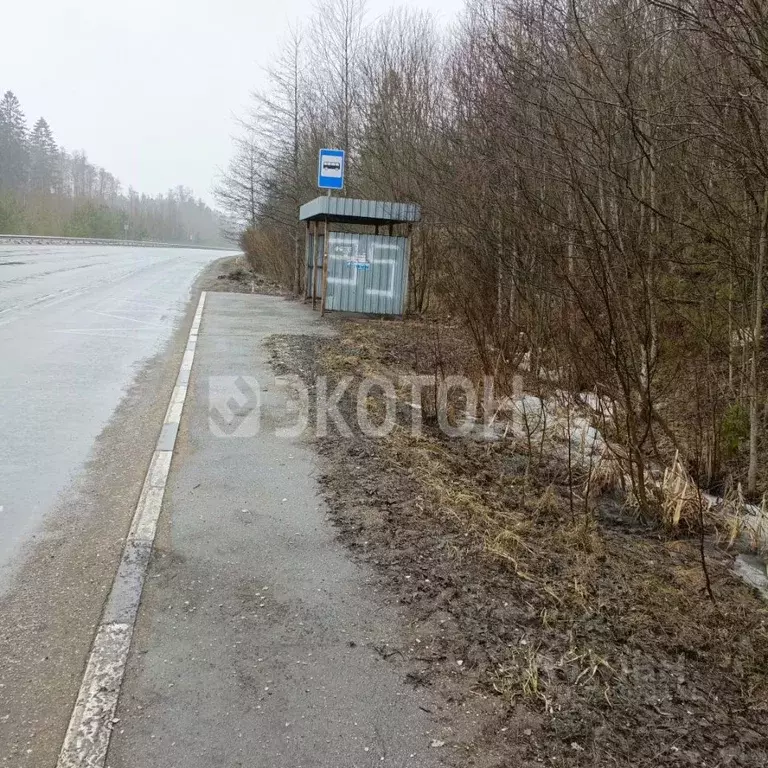 Участок в Ленинградская область, Выборгский район, Полянское с/пос, ... - Фото 1