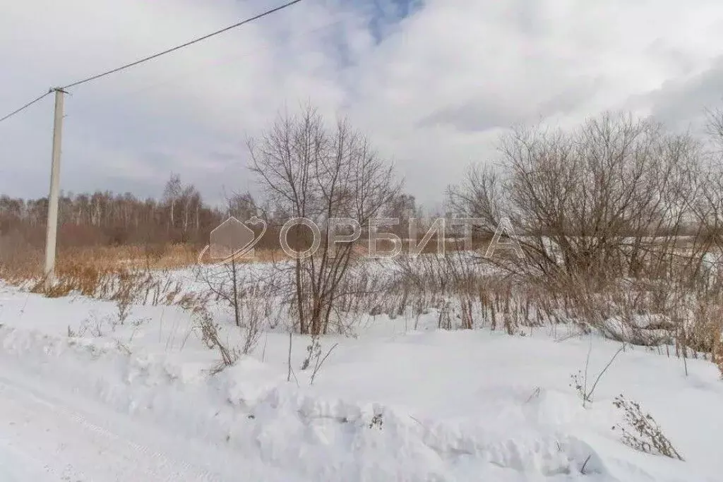Участок в Тюменская область, Нижнетавдинский муниципальный округ, с. ... - Фото 2