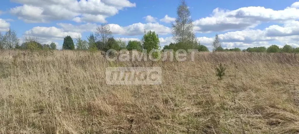 Участок в Владимирская область, Собинский муниципальный округ, ... - Фото 1