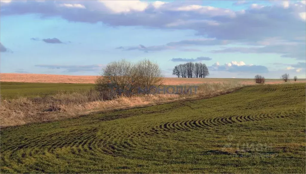 Участок в Нижегородская область, Сергачский муниципальный округ, с. ... - Фото 1