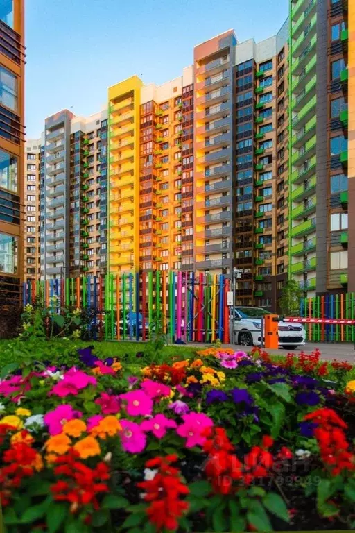 Студия Московская область, Одинцово ул. Сколковская, 1В (24.0 м) - Фото 1