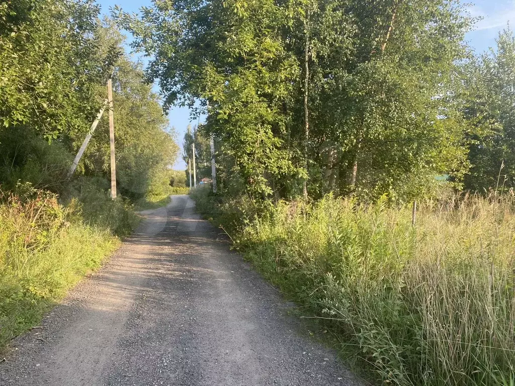 Участок 6 сот. (СНТ, ДНП) - Фото 1