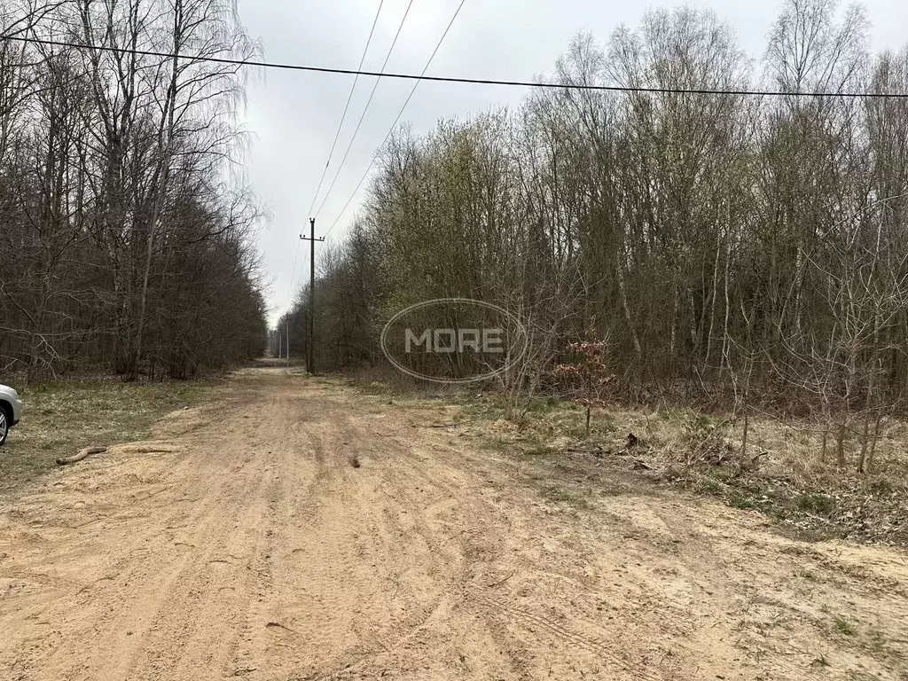 Участок в Калининградская область, Гвардейский муниципальный округ, ... - Фото 0