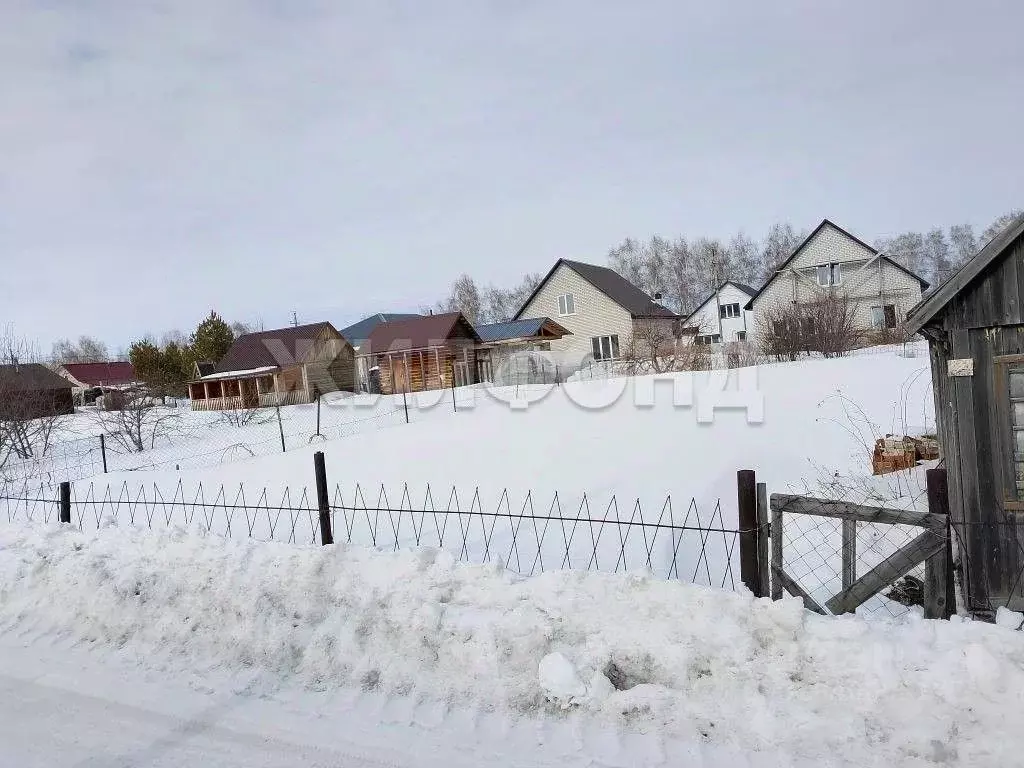 Участок в Алтайский край, Барнаул Пригородное СНТ, ул. Крайняя (5.0 ... - Фото 1