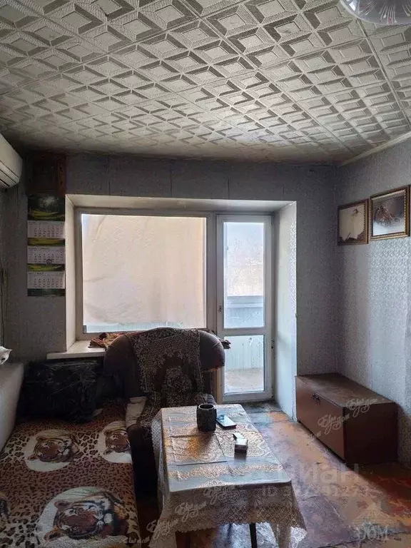 3-к кв. Еврейская автономная область, Биробиджан ул. Шолом-Алейхема, ... - Фото 2