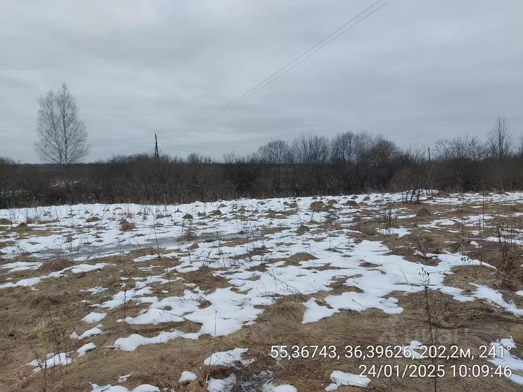 Участок в Московская область, Наро-Фоминский городской округ, д. ... - Фото 1