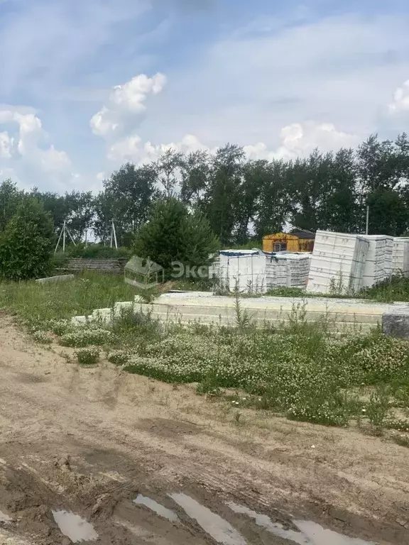 Участок в Тюменская область, Тюменский муниципальный округ, д. ... - Фото 2