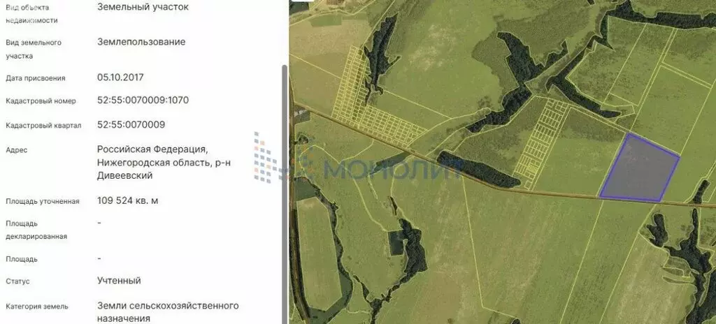 Участок в Нижегородская область, село Дивеево (10.9 м) - Фото 1