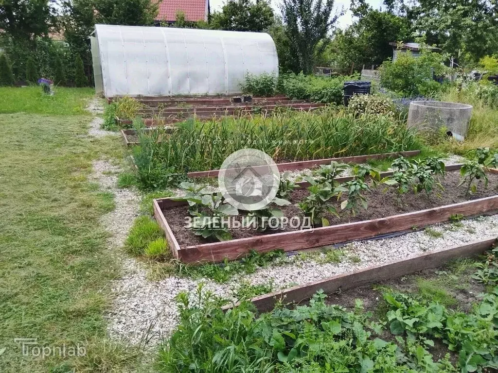 Участок в Калининградская область, Калининград 40 лет Победы СНТ, ул. ... - Фото 1