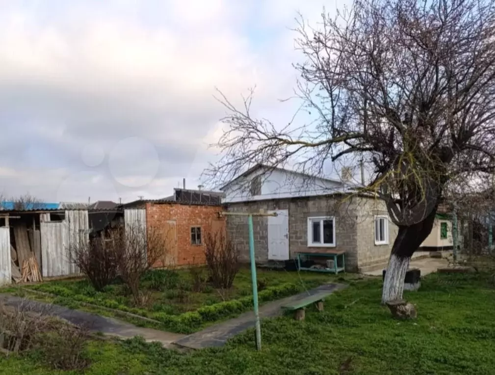 Дача 50 м на участке 12,5 сот. - Фото 0