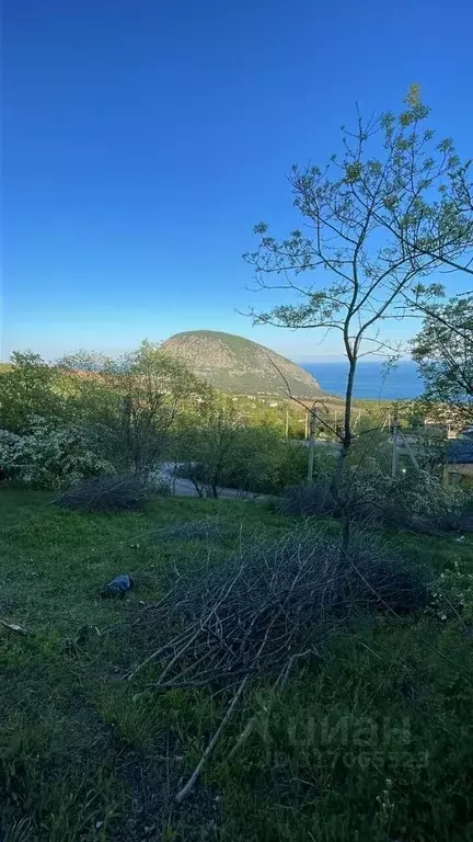 Участок в Крым, Ялта городской округ, Краснокаменка пгт ул. Имени ... - Фото 1