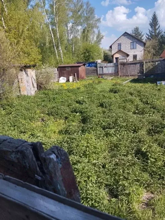 Дом в Новосибирская область, Новосибирск Водник СНТ,  (35 м) - Фото 2