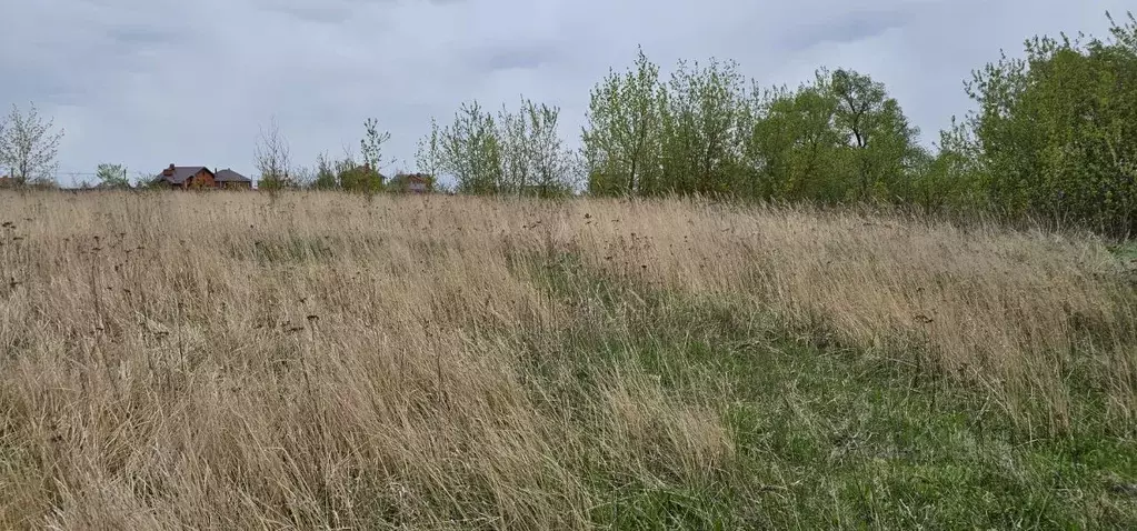 Участок в Московская область, Луховицы муниципальный округ, пос. ... - Фото 2