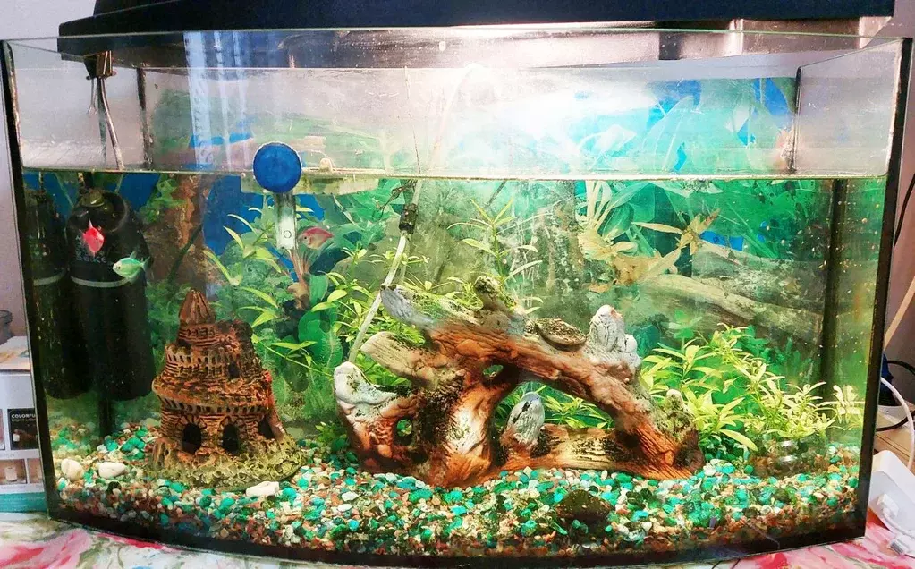 3-к кв. Оренбургская область, Оренбург Северный жилрайон, микрорайон ... - Фото 2