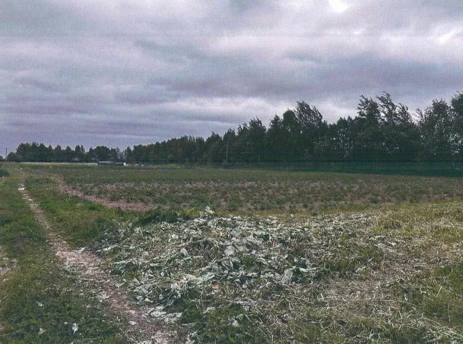 Участок в Московская область, Лотошино муниципальный округ, д. ... - Фото 0