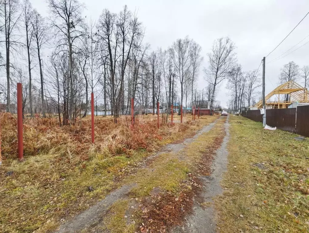 Участок в Тюменская область, Нижнетавдинский муниципальный округ, ... - Фото 1