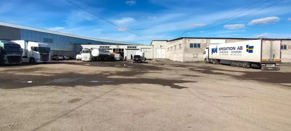 Склад в Новосибирская область, Новосибирск Толмачевская ул., 43 (1968 ... - Фото 2