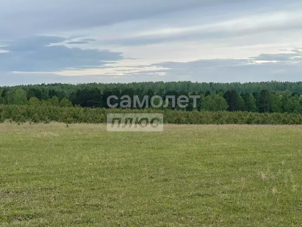Участок в Иркутская область, Иркутский муниципальный округ, д. ... - Фото 2
