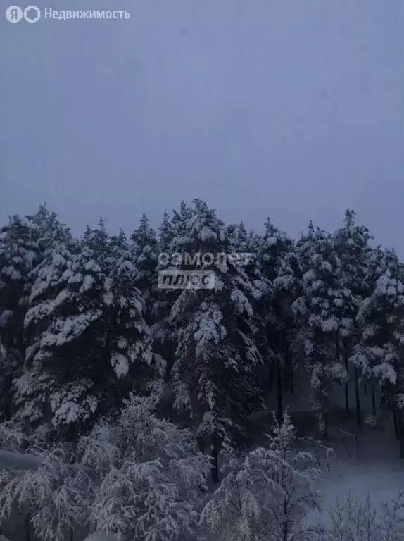 2-комнатная квартира: Миасс, улица Готвальда, 21 (51 м) - Фото 2