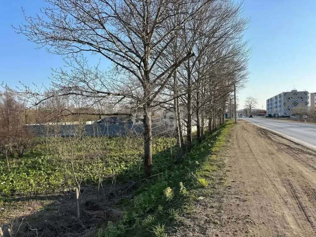 Участок в Сахалинская область, Анивский городской округ, с. Троицкое ... - Фото 0