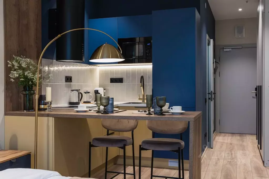 Студия Санкт-Петербург просп. Энергетиков, 8к2 (30.0 м) - Фото 1