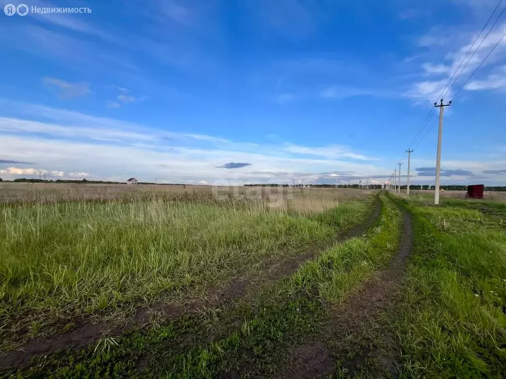 Участок в деревня Малиновка 1-я, улица имени Андрея Колодина, 1 (10 м) - Фото 1