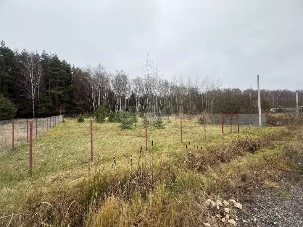 Участок в Московская область, Домодедово Белые Столбы мкр, ул. ... - Фото 2