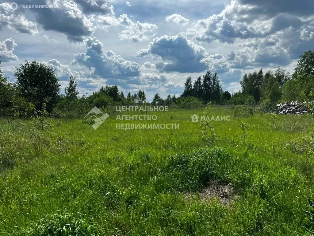 Участок в село Сушки, Тихая улица, 12 (15 м) - Фото 0