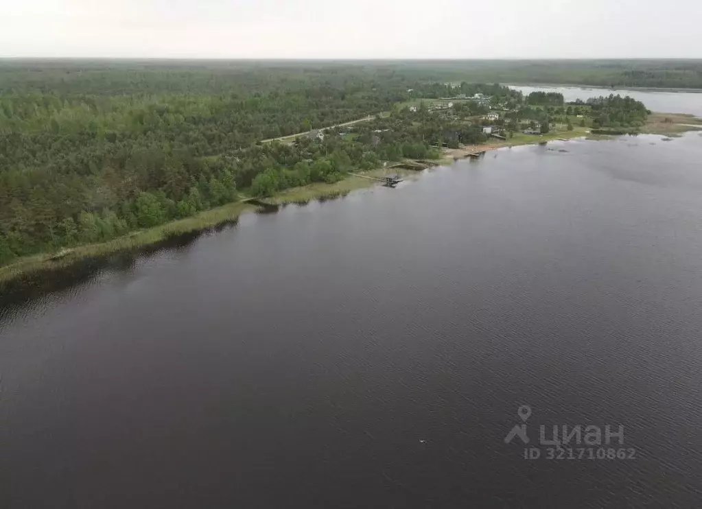 Участок в Псковская область, Куньинский район, Жижицкая волость, д. ... - Фото 0
