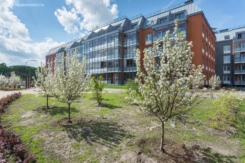 Квартира-студия: Санкт-Петербург, улица Струве, 8к2 (25 м) - Фото 1