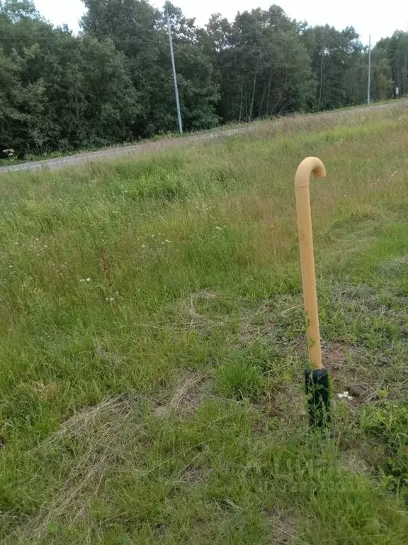 Участок в Москва д. Мешково, 44 (15.0 сот.) - Фото 2