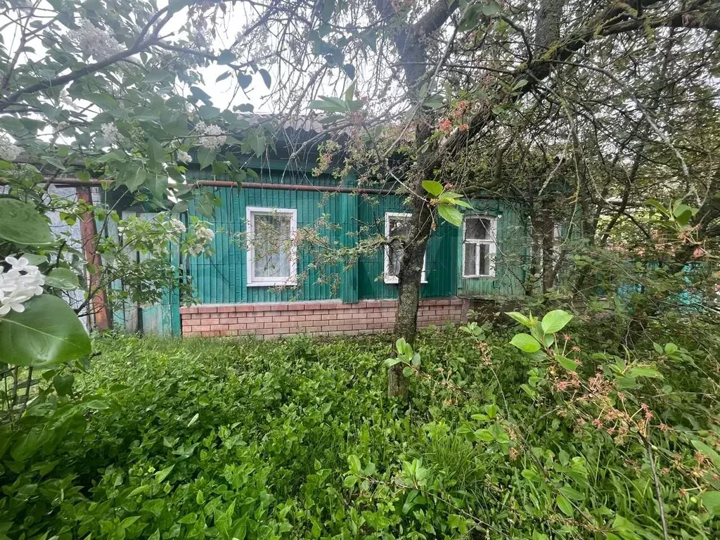 Дом 42,9 м на участке 4,2 сот. - Фото 0
