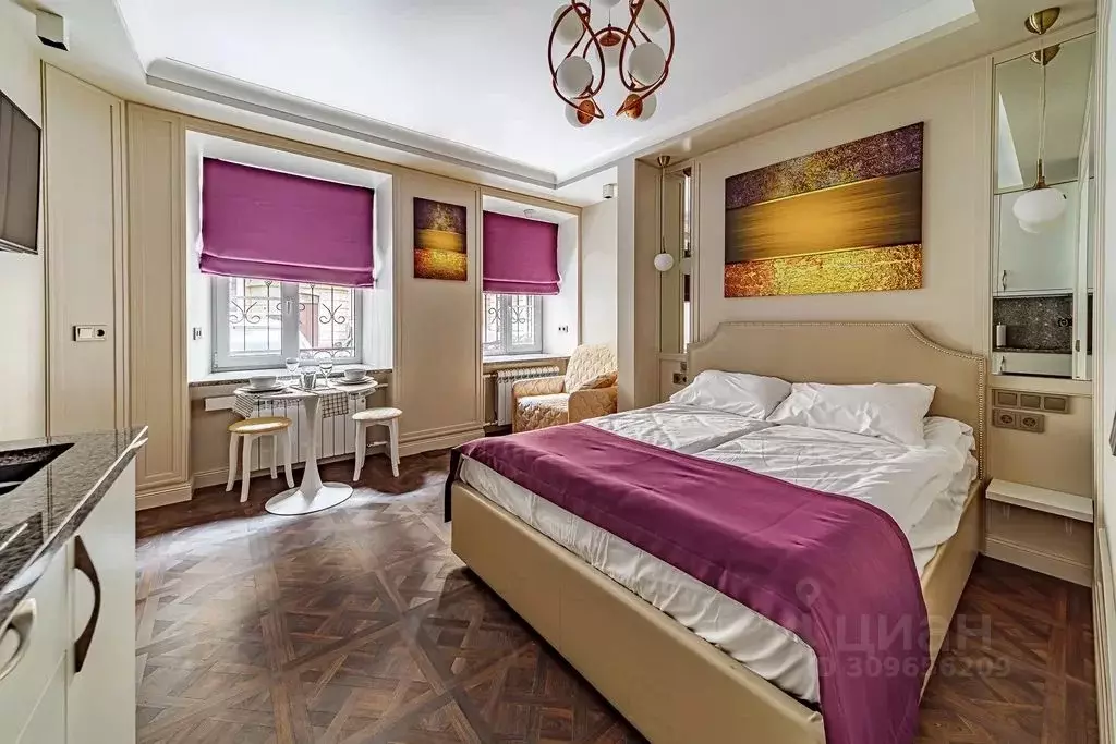 Студия Санкт-Петербург ул. Писарева, 18 (20.0 м) - Фото 0