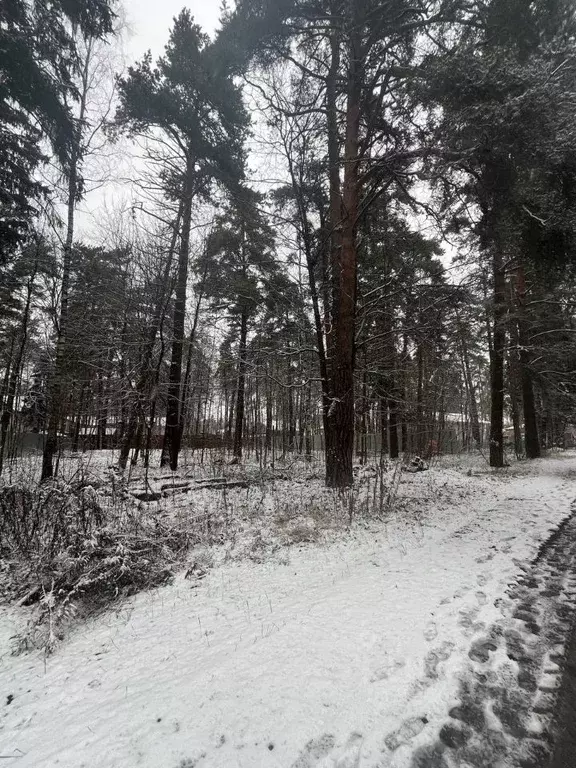 Участок в Московская область, Пушкинский городской округ, с. Тарасовка ... - Фото 1
